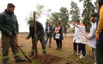 EL MUNICIPIO PLANTA ÁRBOLES NATIVOS EN ESTABLECIMIENTOS EDUCATIVOS DEL DISTRITO