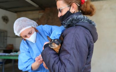 EL MUNICIPIO REALIZÓ UNA NUEVA JORNADA DE VACUNACIÓN ANTIRRÁBICA