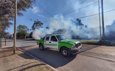 AVANZAN LAS TAREAS DE FUMIGACIÓN