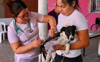 MONTE GRANDE: SE REALIZÓ UNA JORNADA DE VACUNACIÓN ANTIRRÁBICA Y CONTROL VETERINARIO