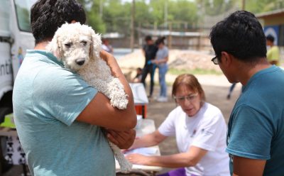 EL MUNICIPIO REALIZÓ UN OPERATIVO DE VACUNACIÓN ANTIRRÁBICA PARA PERROS Y GATOS EN 9 DE ABRIL