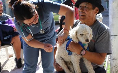 EL MUNICIPIO BRINDÓ ATENCIÓN VETERINARIA A PERROS Y GATOS EN 9 DE ABRIL