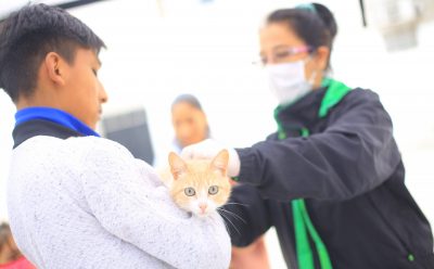 JORNADA DE ATENCIÓN VETERINARIA EN EL JAGÜEL