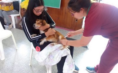 EL MUNICIPIO REALIZÓ UNA NUEVA JORNADA DE VACUNACIÓN ANTIRRÁBICA PARA MASCOTAS