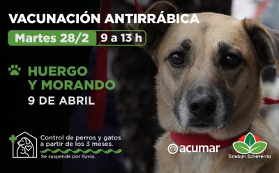 NUEVO OPERATIVOS DE VACUNACIÓN ANTIRRÁBICA EN 9 DE ABRIL