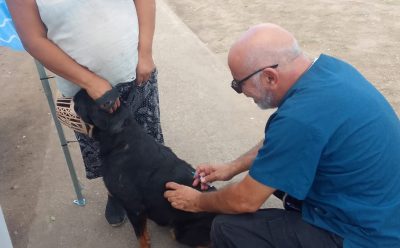 EL MUNICIPIO REALIZÓ UNA JORNADA DE VACUNACIÓN ANTIRRÁBICA PARA MASCOTAS EN 9 DE ABRIL