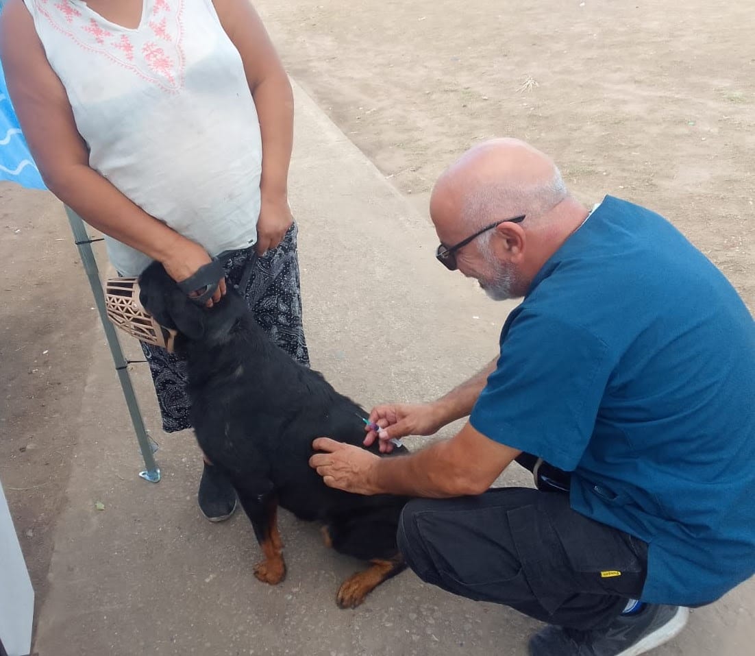 EL MUNICIPIO REALIZÓ UNA JORNADA DE VACUNACIÓN ANTIRRÁBICA PARA MASCOTAS EN 9 DE ABRIL