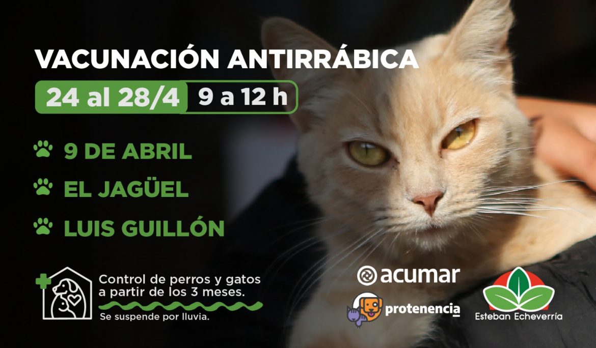 OPERATIVOS DE VACUNACIÓN ANTIRRÁBICA PARA PERROS Y GATOS