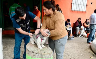 JORNADAS DE VACUNACIÓN ANTIRRÁBICA Y ATENCIÓN PARA MASCOTAS EN LUIS GUILLÓN Y 9 DE ABRIL
