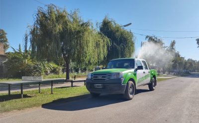 TAREAS DE FUMIGACIÓN EN BARRIOS Y PLAZAS DEL DISTRITO 