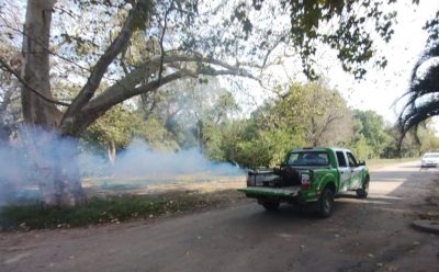 EL MUNICIPIO AVANZA EN LAS TAREAS DE FUMIGACIÓN EN EL DISTRITO