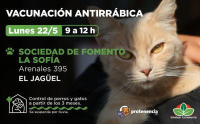 OPERATIVO DE VACUNACIÓN ANTIRRÁBICA EN EL JAGÜEL