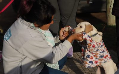 VACUNACIÓN ANTIRRÁBICA Y CONTROL VETERINARIO EN MONTE GRANDE SUR