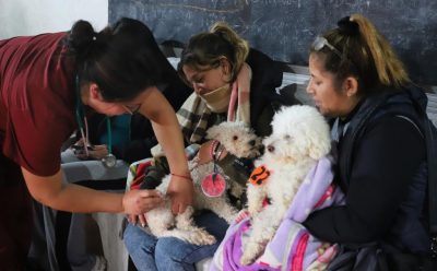 NUEVO OPERATIVO DE VACUNACIÓN ANTIRRÁBICA Y CONTROL VETERINARIO EN MONTE GRANDE