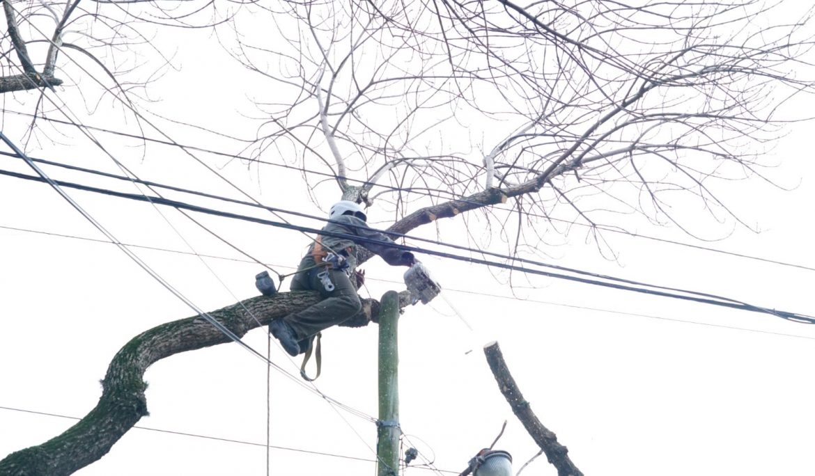 NUEVOS TRABAJOS DE PODA EN LUIS GUILLÓN Y MONTE GRANDE