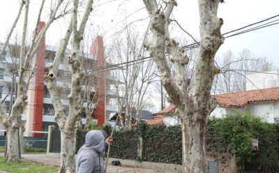 EL MUNICIPIO REALIZA TAREAS DE PODA EN LUIS GUILLÓN