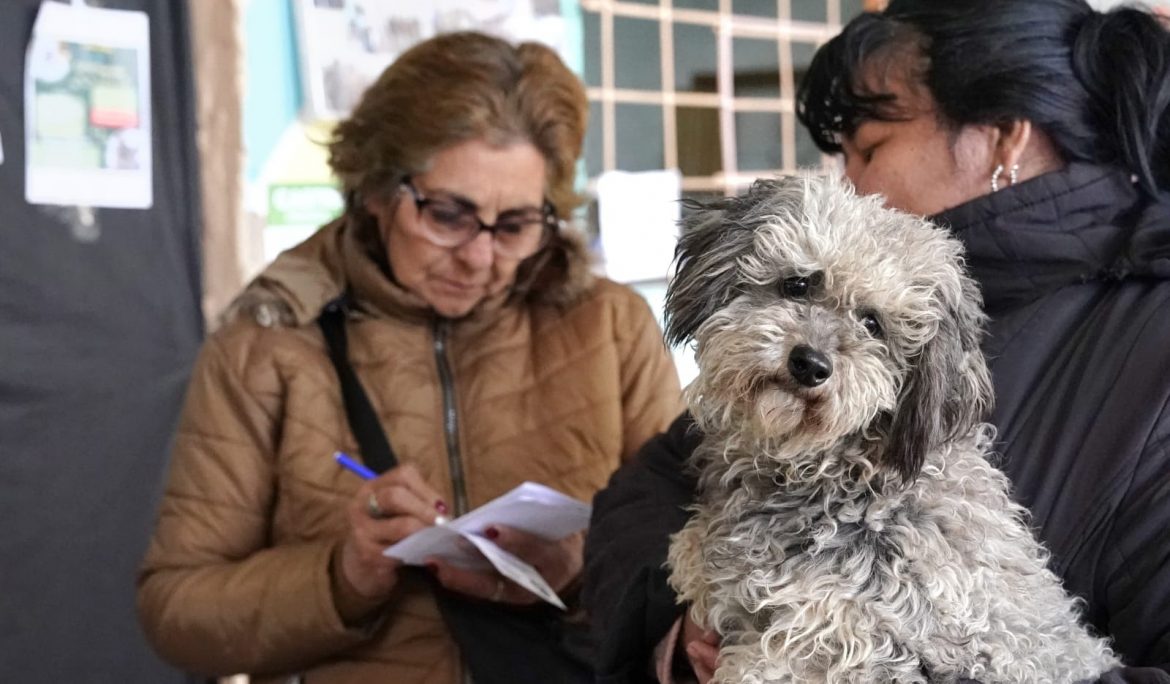 OPERATIVOS DE VACUNACIÓN ANTIRRÁBICA PARA PERROS Y GATOS EN MONTE GRANDE SUR