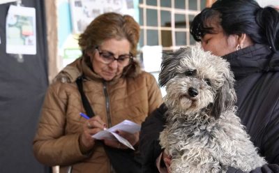 OPERATIVOS DE VACUNACIÓN ANTIRRÁBICA PARA PERROS Y GATOS EN MONTE GRANDE SUR