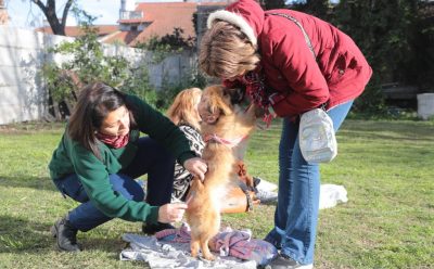 EL MUNICIPIO REALIZÓ UNA JORNADA DE VACUNACIÓN ANTIRRÁBICA PARA PERROS Y GATOS EN LUIS GUILLÓN