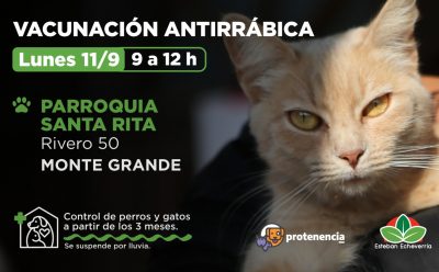 OPERATIVO DE VACUNACIÓN ANTIRRÁBICA PARA PERROS Y GATOS EN MONTE GRANDE