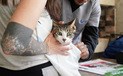 EL MUNICIPIO REALIZÓ UNA JORNADA DE VACUNACIÓN ANTIRRÁBICA PARA MASCOTAS EN EL JAGÜEL