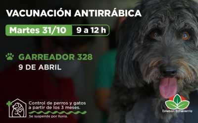 VACUNACIÓN ANTIRRÁBICA PARA PERROS Y GATOS EN 9 DE ABRIL