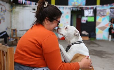 MONTE GRANDE SUR: AVANZAN LAS JORNADAS DE VACUNACIÓN ANTIRRÁBICA Y CONTROL VETERINARIO