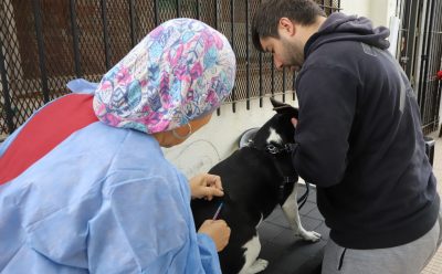 OPERATIVO DE VACUNACIÓN ANTIRRÁBICA Y CONTROL VETERINARIO EN MONTE GRANDE SUR