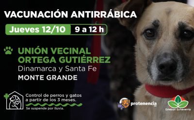 MONTE GRANDE SUR: OPERATIVO DE VACUNACIÓN ANTIRRÁBICA PARA PERROS Y GATOS 