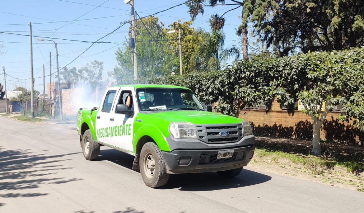TAREAS DE FUMIGACIÓN EN LUIS GUILLÓN