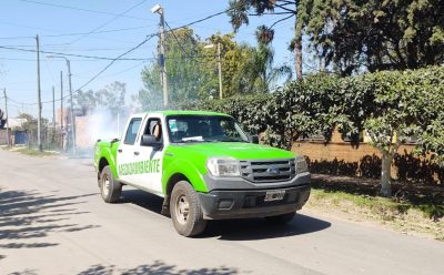 TAREAS DE FUMIGACIÓN EN LUIS GUILLÓN