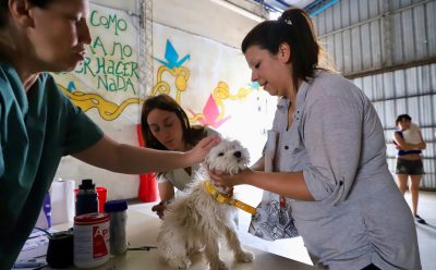 CONTINÚAN LAS JORNADAS DE VACUNACIÓN ANTIRRÁBICA Y DESPARASITACIÓN EN EL DISTRITO