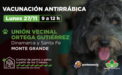 VACUNACIÓN ANTIRRÁBICA PARA PERROS Y GATOS EN MONTE GRANDE