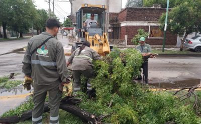 TRAS LA TORMENTA, LOS EQUIPOS MUNICIPALES TRABAJAN EN LAS CALLES DE ESTEBAN ECHEVERRÍA