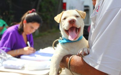 9 DE ABRIL: EL MUNICIPIO REALIZÓ UN OPERATIVO GRATUITO DE VACUNACIÓN ANTIRRÁBICA PARA MASCOTAS