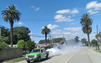 CONTINÚAN LAS TAREAS DE FUMIGACIÓN EN EL DISTRITO