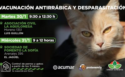 NUEVAS JORNADAS DE VACUNACIÓN ANTIRRÁBICA Y DESPARASITACIÓN EN ESTEBAN ECHEVERRÍA