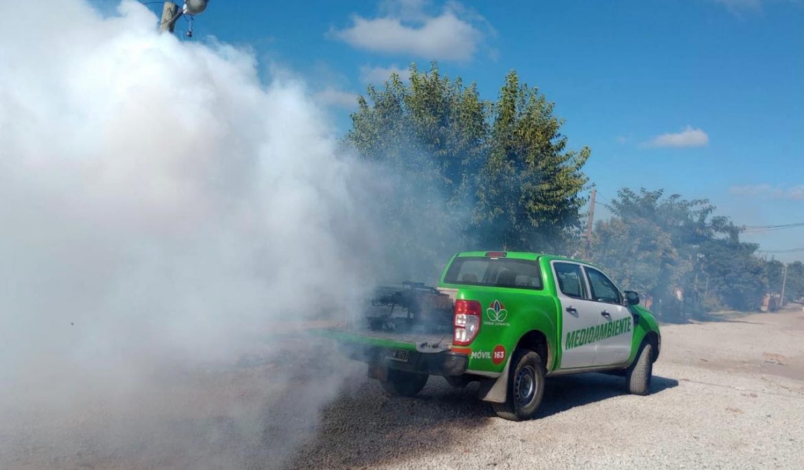 TRABAJOS DE FUMIGACIÓN EN EL DISTRITO