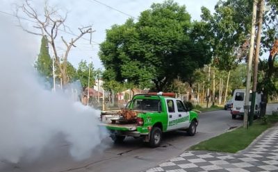 TRABAJOS DE FUMIGACIÓN EN EL DISTRITO