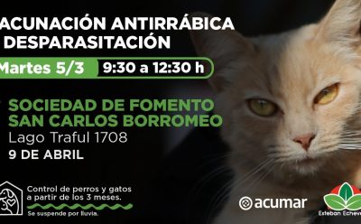 VACUNACIÓN ANTIRRÁBICA Y DESPARASITACIÓN EN ESTEBAN ECHEVERRÍA