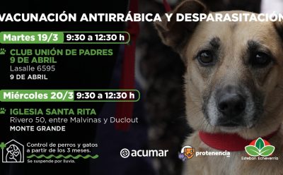 VACUNACIÓN ANTIRRÁBICA Y DESPARASITACIÓN EN 9 DE ABRIL Y MONTE GRANDE