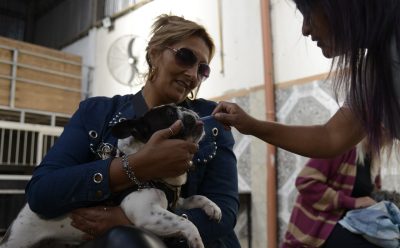 NUEVOS OPERATIVOS DE VACUNACIÓN ANTIRRÁBICA Y DESPARASITACIÓN EN EL DISTRITO