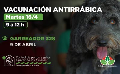 VACUNACIÓN ANTIRRÁBICA PARA PERROS Y GATOS EN 9 DE ABRIL