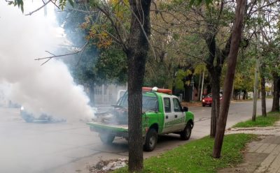 MONTE GRANDE: NUEVAS TAREAS DE FUMIGACIÓN