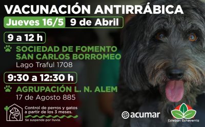 VACUNACIÓN ANTIRRÁBICA EN 9 DE ABRIL