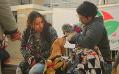 AVANZAN LOS OPERATIVOS GRATUITOS DE VACUNACIÓN ANTIRRÁBICA Y DESPARASITACIÓN EN ESTEBAN ECHEVERRÍA