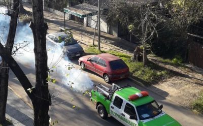 LUIS GUILLÓN: NUEVOS OPERATIVOS DE FUMIGACIÓN