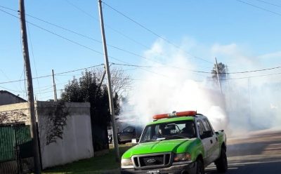 OPERATIVOS DE FUMIGACIÓN EN EL DISTRITO