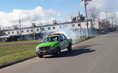 MONTE GRANDE: NUEVOS OPERATIVOS DE FUMIGACIÓN