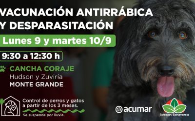 VACUNACIÓN Y DESPARASITACIÓN DE PERROS Y GATOS EN MONTE GRANDE